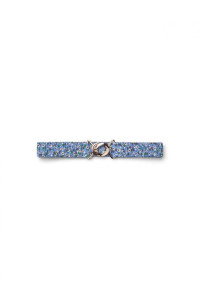 Abel_Belt